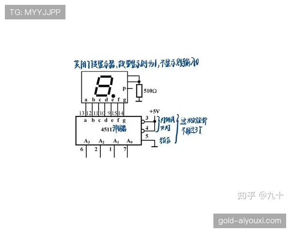 深度解析篮球计时规则：从24秒到8秒的全面解读